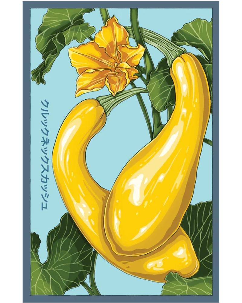 Early Golden Crookneck Squash