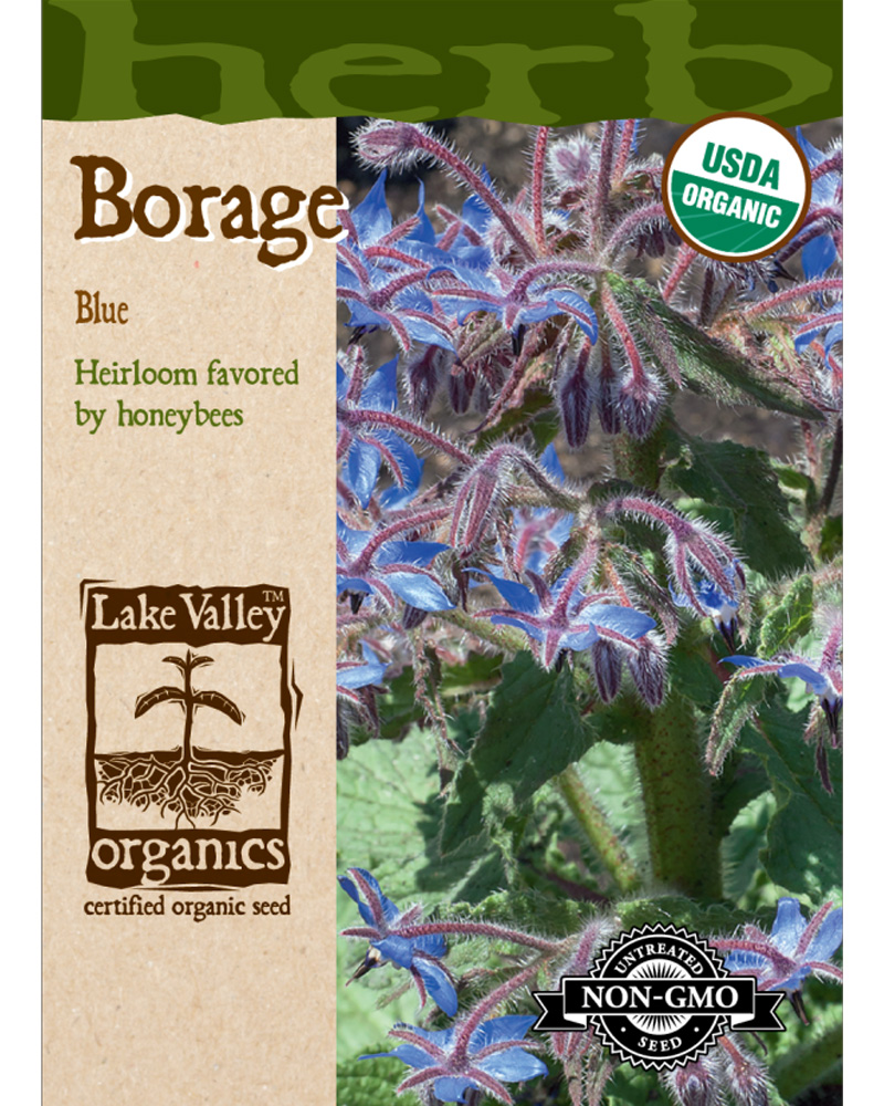 Borage Organic