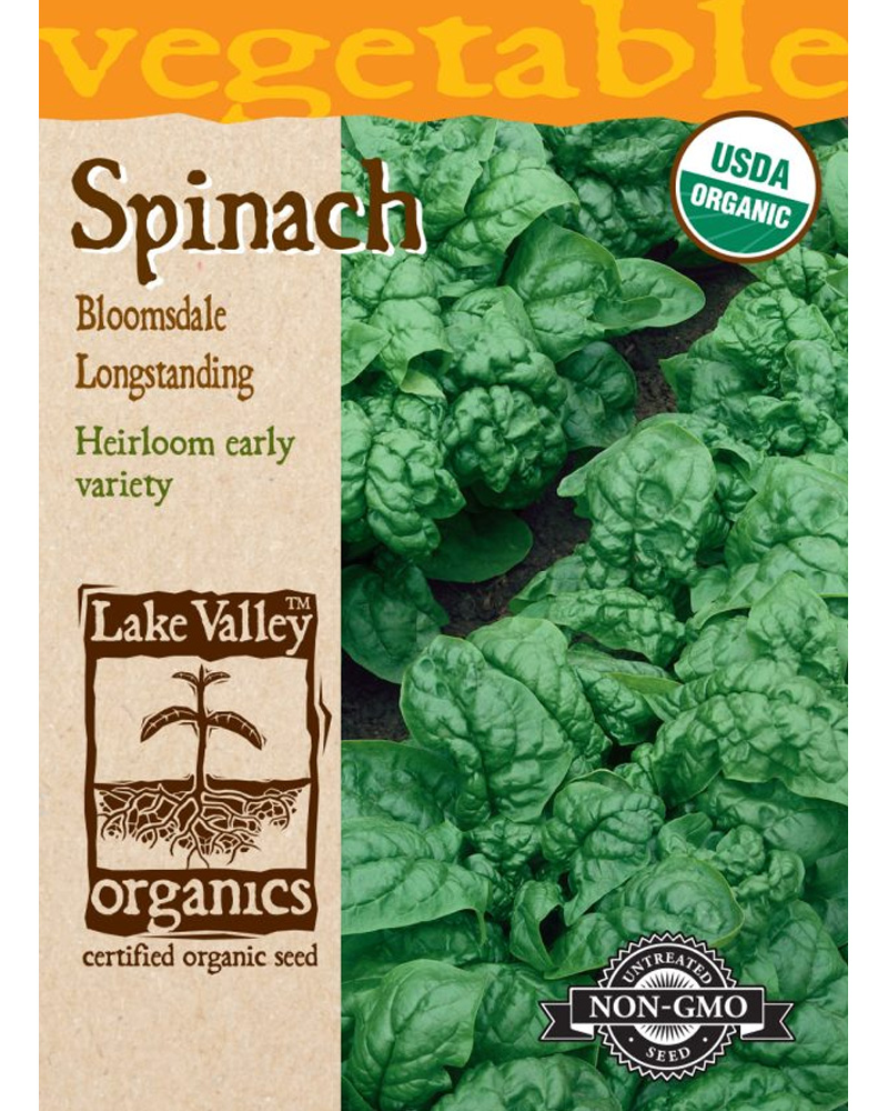 Spinach Bloomsdale Longstanding Organic