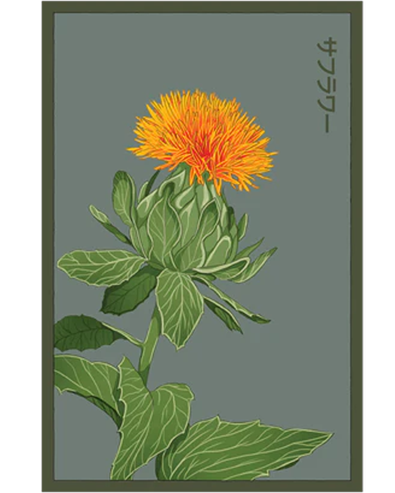 Safflower