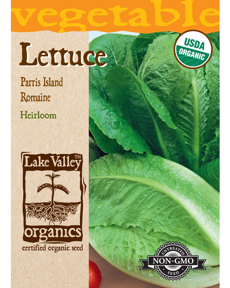 Lettuce Romaine Parris Island Organic
