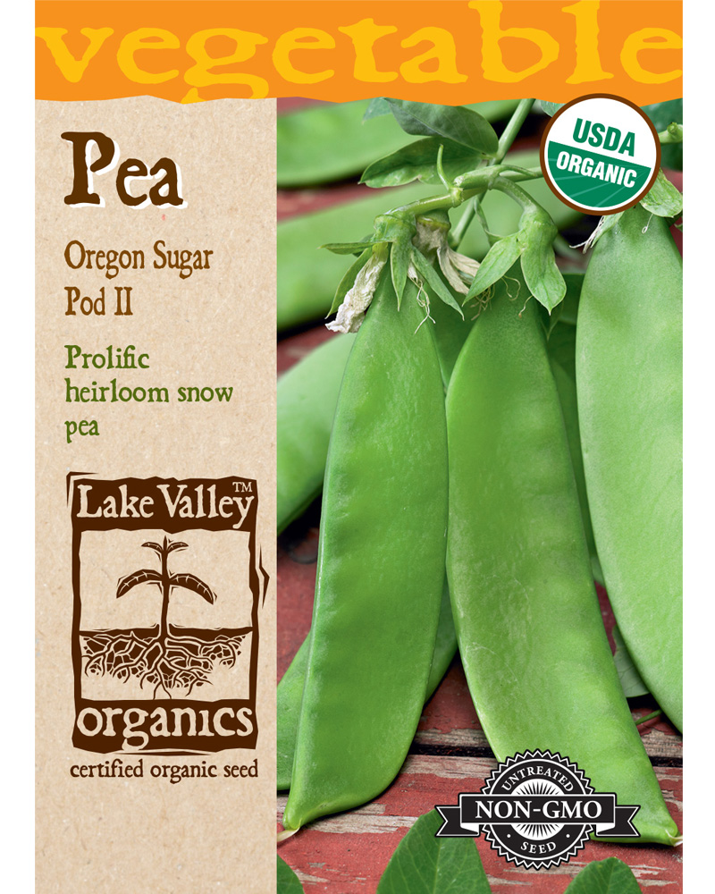 Pea Oregon Sugar Pod II (Bush)