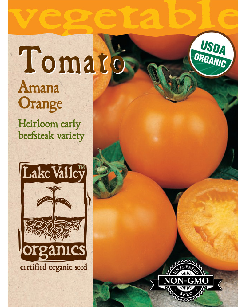 Tomato Amana Orange (Pole) Organic