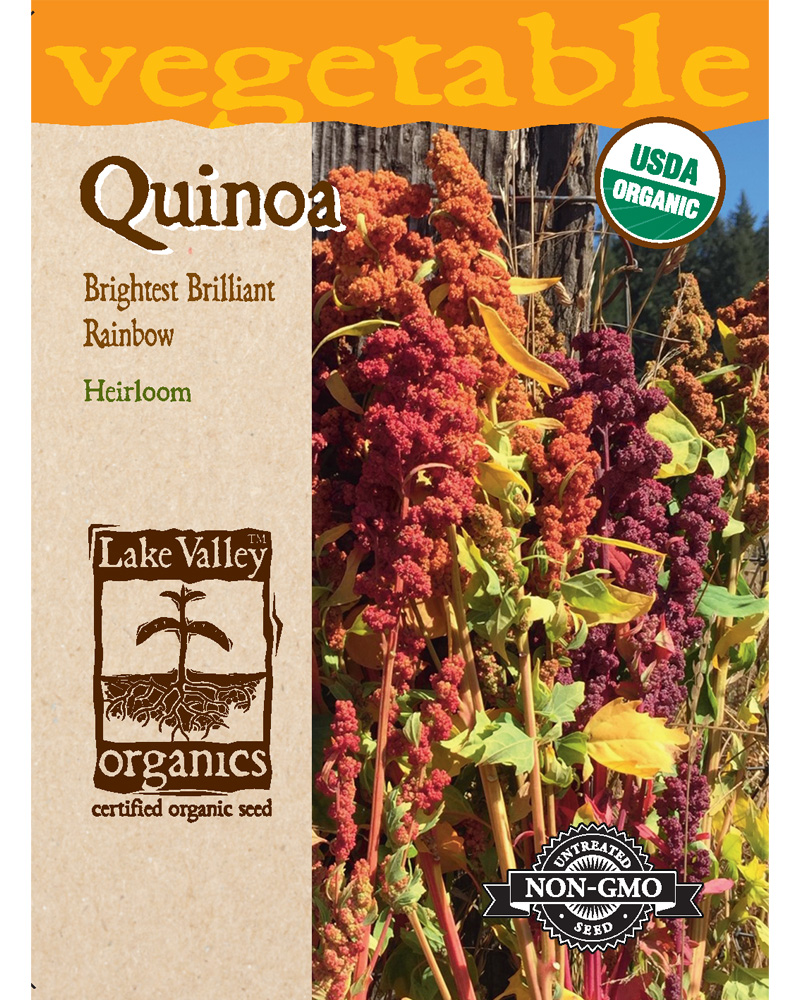 Quinoa Birghtest Brilliant Rainbow Organic