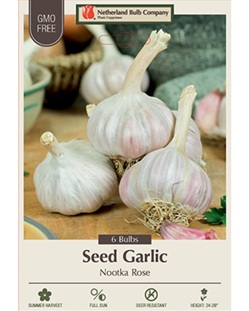Garlic Nootka Rose