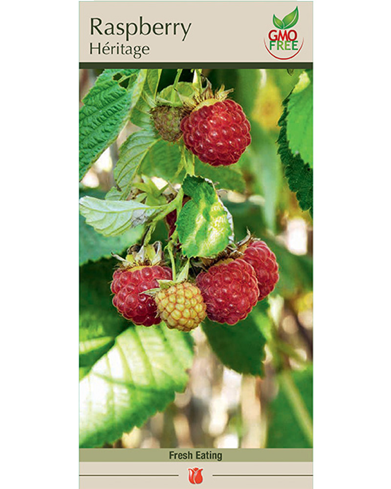 Raspberry Heritage
