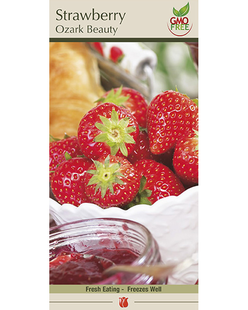 Strawberry Ozark Beauty