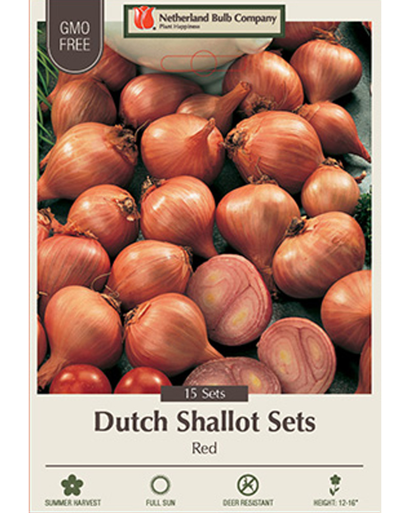 Dutch Shallot Sets Red