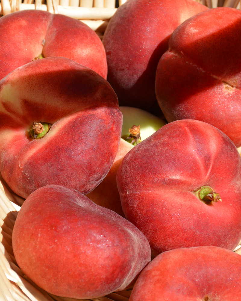 Saturn Peach #15<br><i>Prunus persica 'Saturn'</br></i>