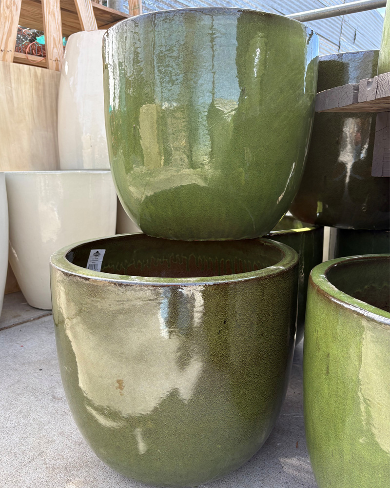 Large Wide Round Pot Tropical Green 19"