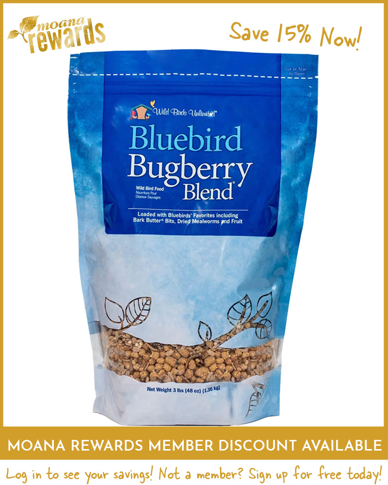 Bugberry Blend Birdseed 3lb