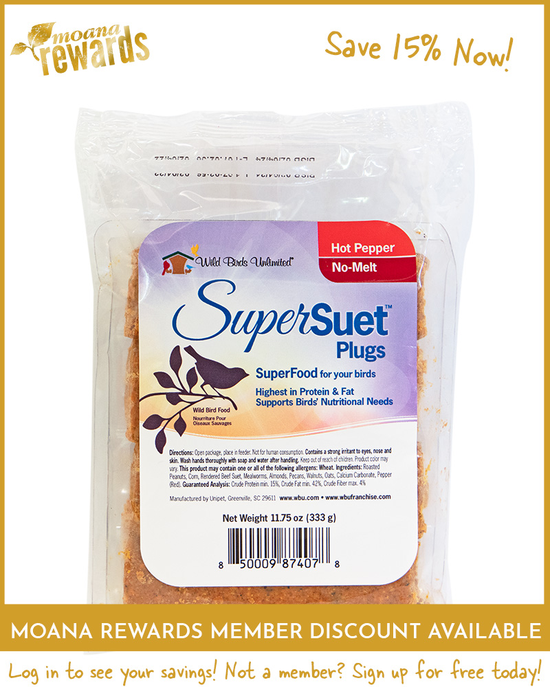 Suet Plugs Supersuet No Melt Hot Pepper
