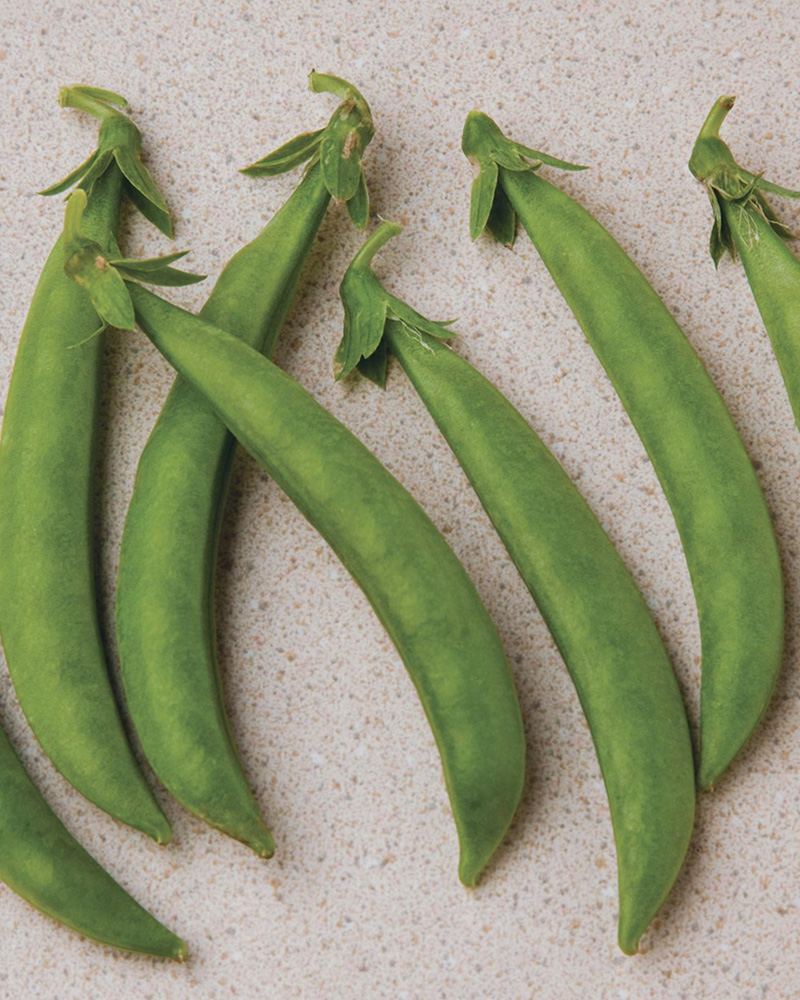 Pea Snak Hero 4\"