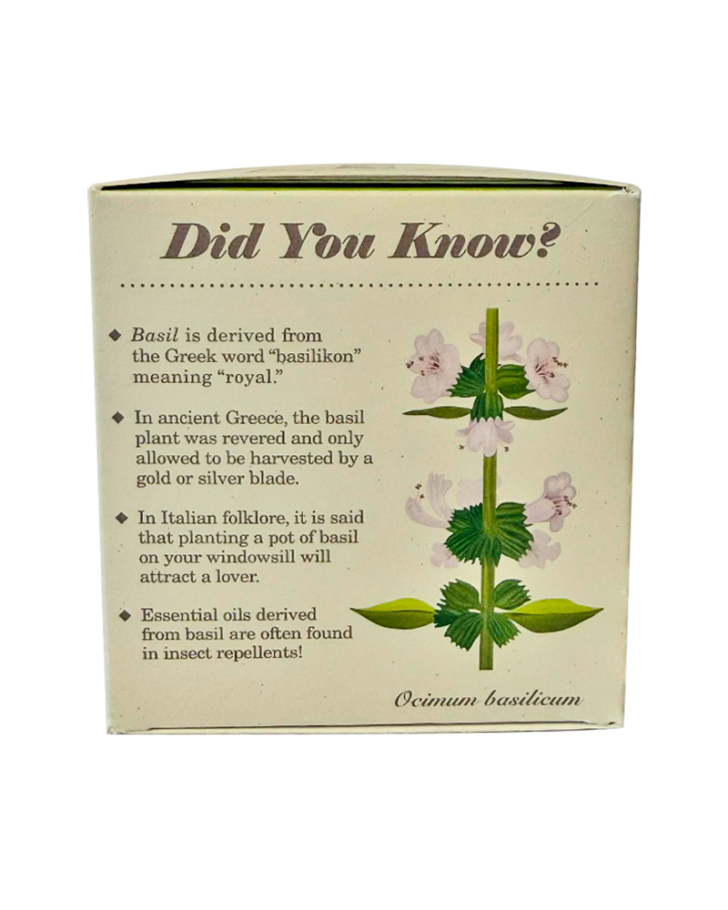 Candle Fresh Basil Plant the Box