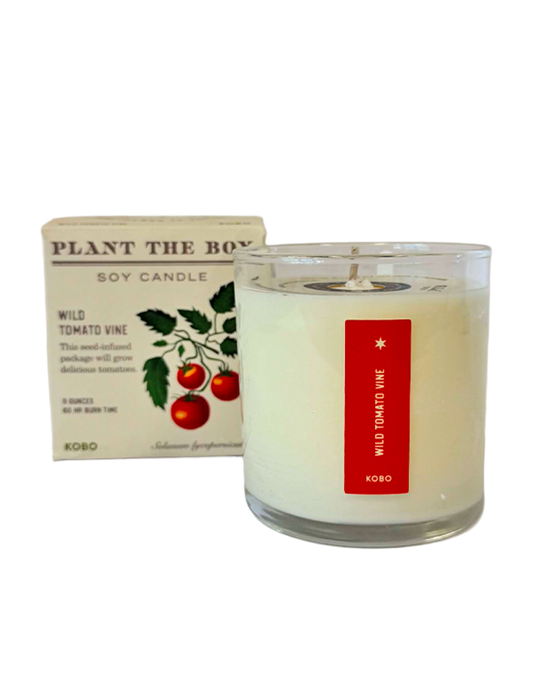 Candle Wild Tomato Vine Plant the Box