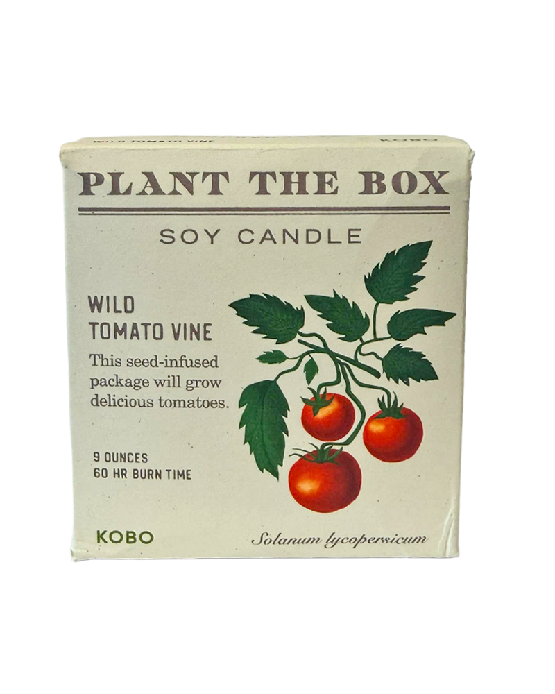Candle Wild Tomato Vine Plant the Box