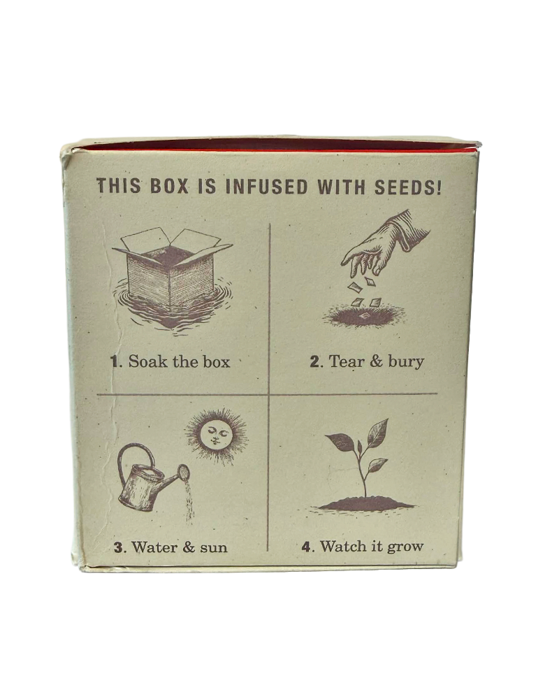 Candle Wild Tomato Vine Plant the Box