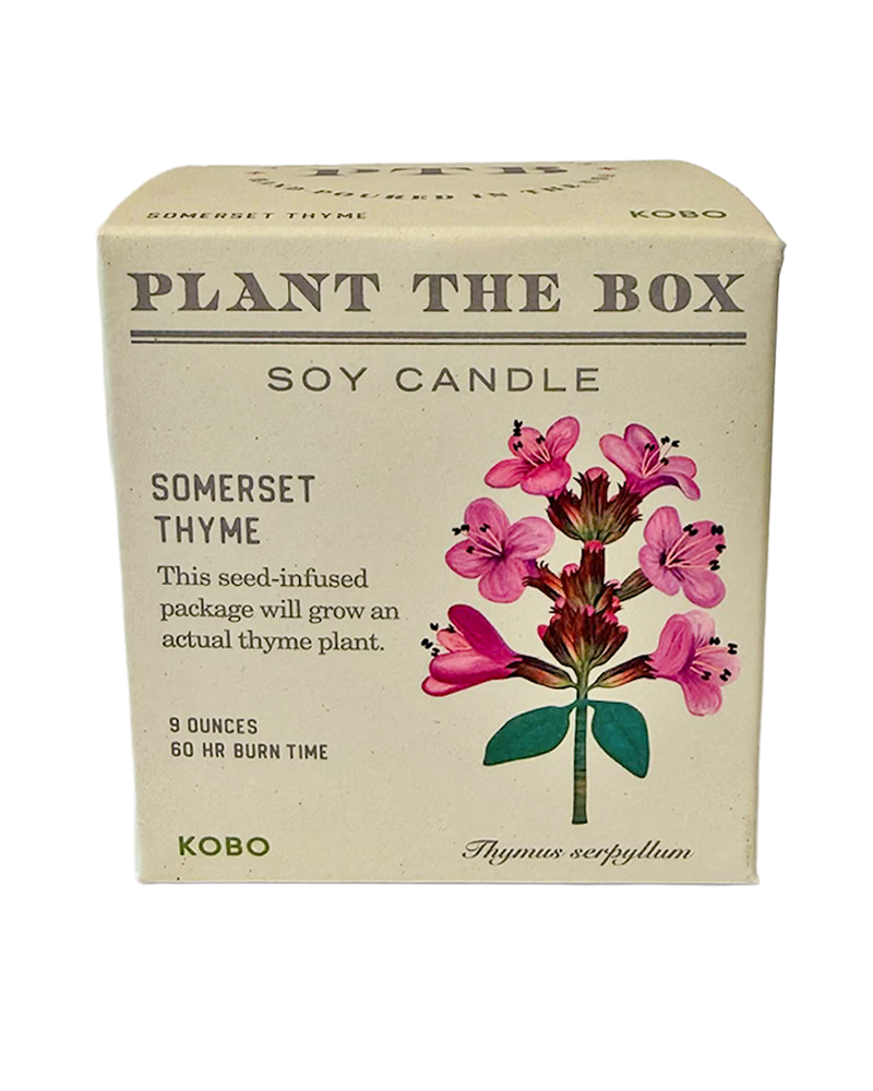 Plant the Box Candle - Choose Your Scent