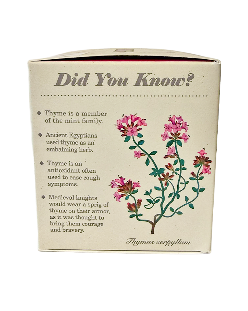 Plant the Box Candle - Choose Your Scent