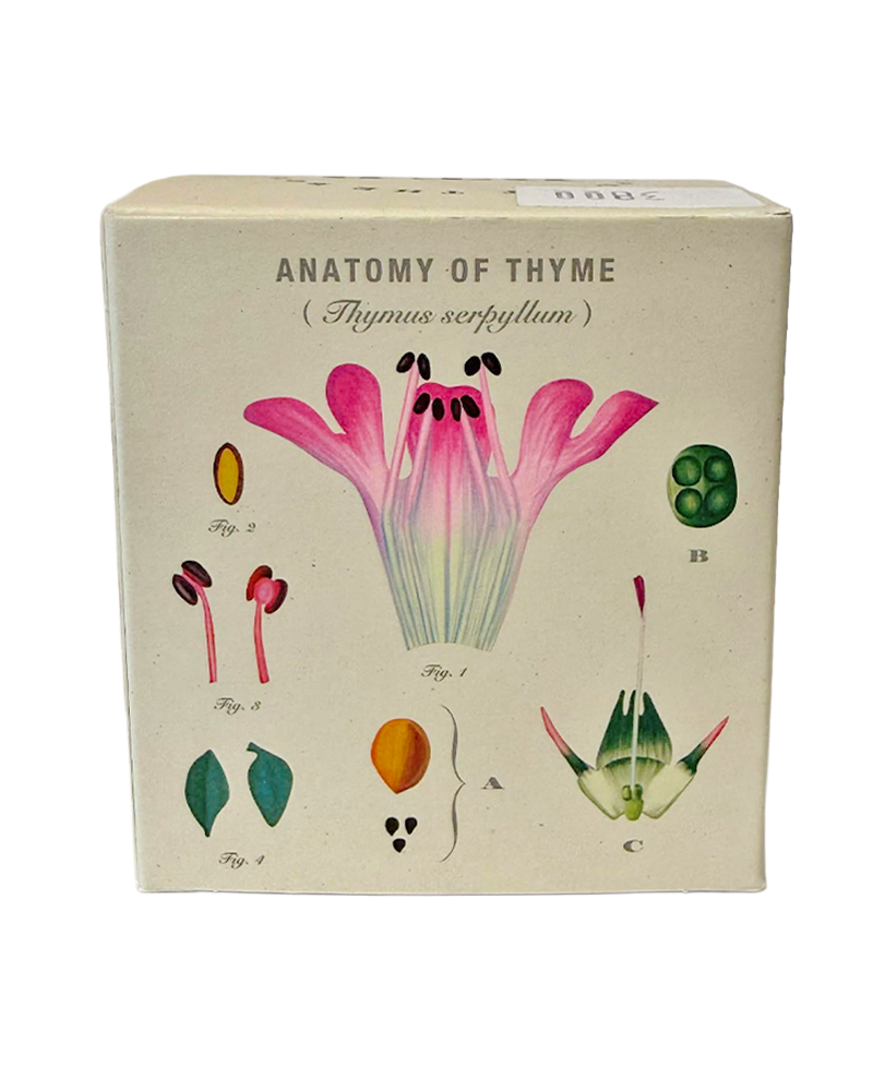 Plant the Box Candle - Choose Your Scent