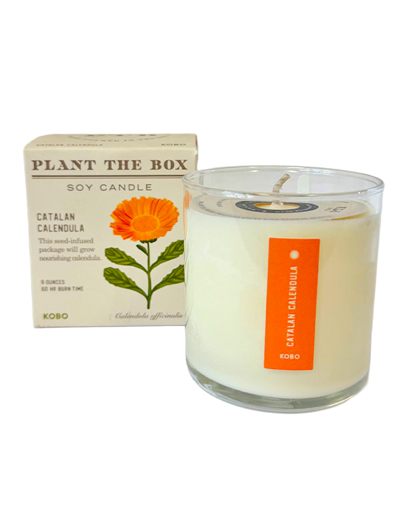 Candle Catalan Calendula Plant the Box