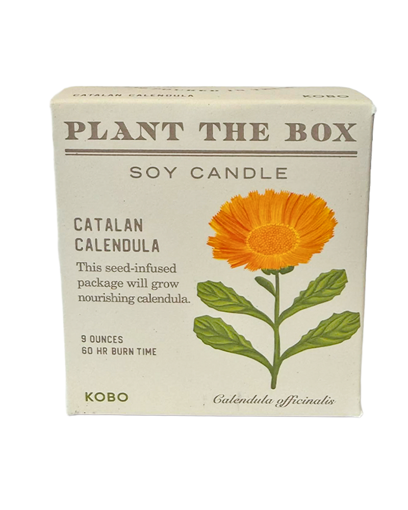 Candle Catalan Calendula Plant the Box