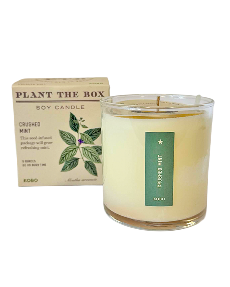 Candle Crushed Mint Plant the Box