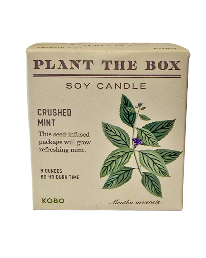 Candle Crushed Mint Plant the Box
