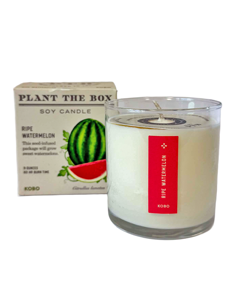 Candle Ripe Watermelon Plant the Box