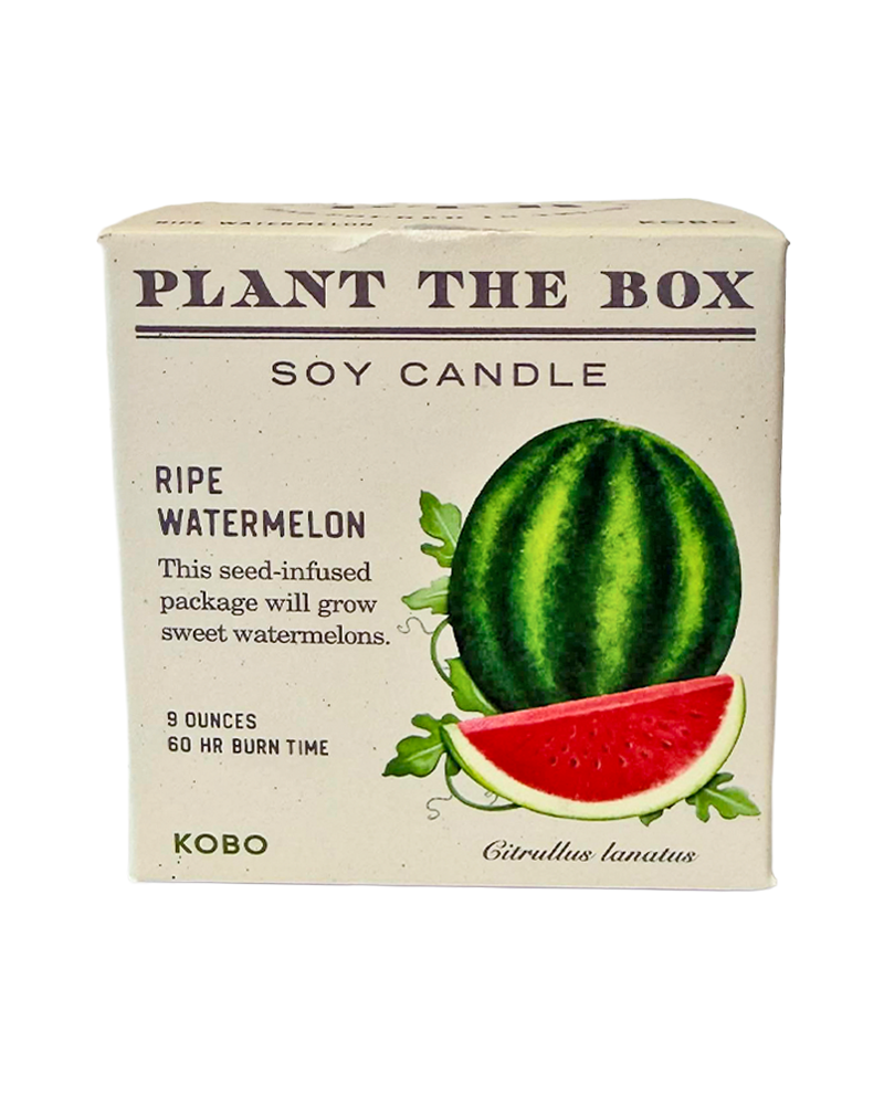 Candle Ripe Watermelon Plant the Box