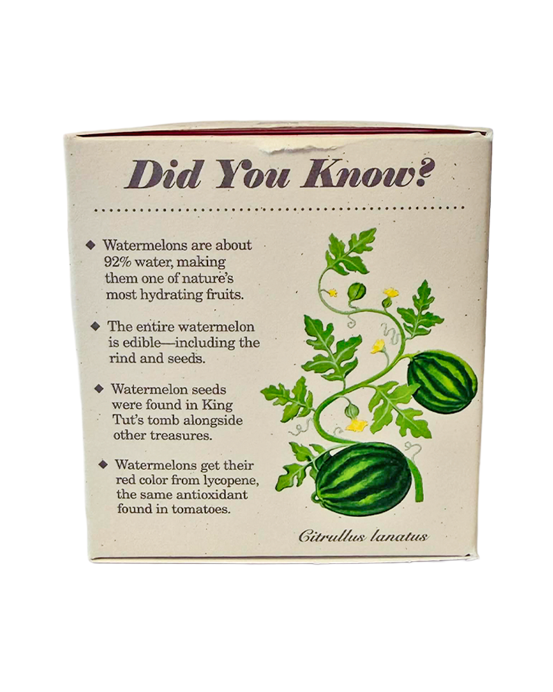 Candle Ripe Watermelon Plant the Box