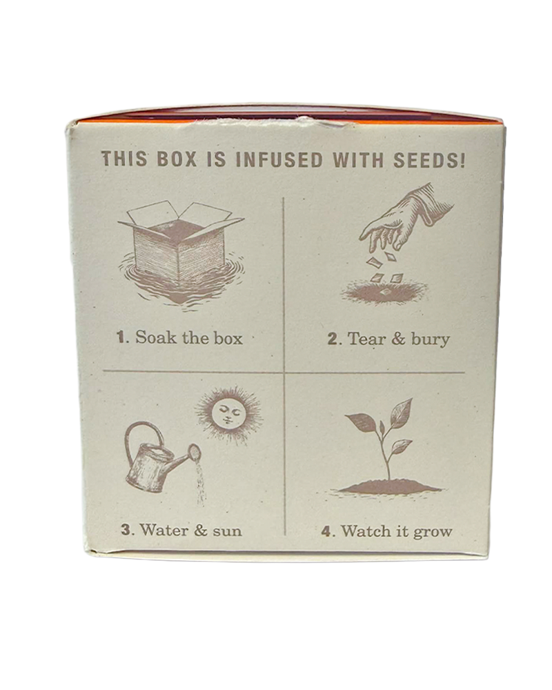 Candle Catalan Calendula Plant the Box