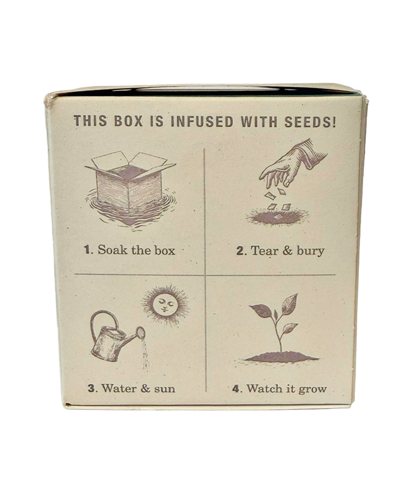 Candle Crushed Mint Plant the Box