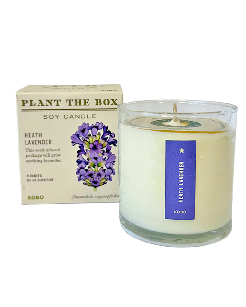 Candle Heath Lavender Plant the Box