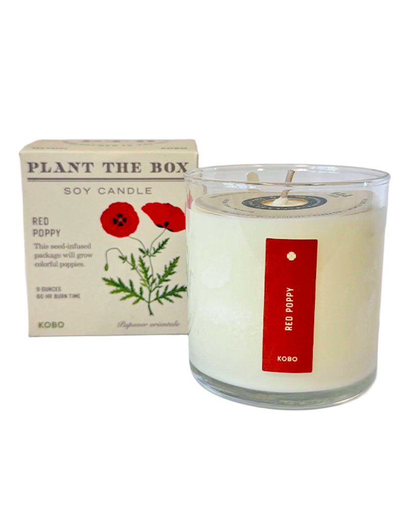 Candle Red Poppy Plant the Box