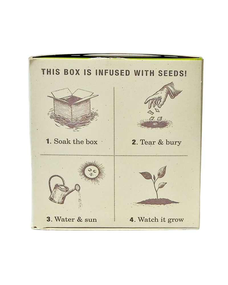 Candle Fresh Basil Plant the Box