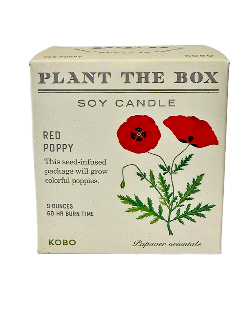 Candle Red Poppy Plant the Box