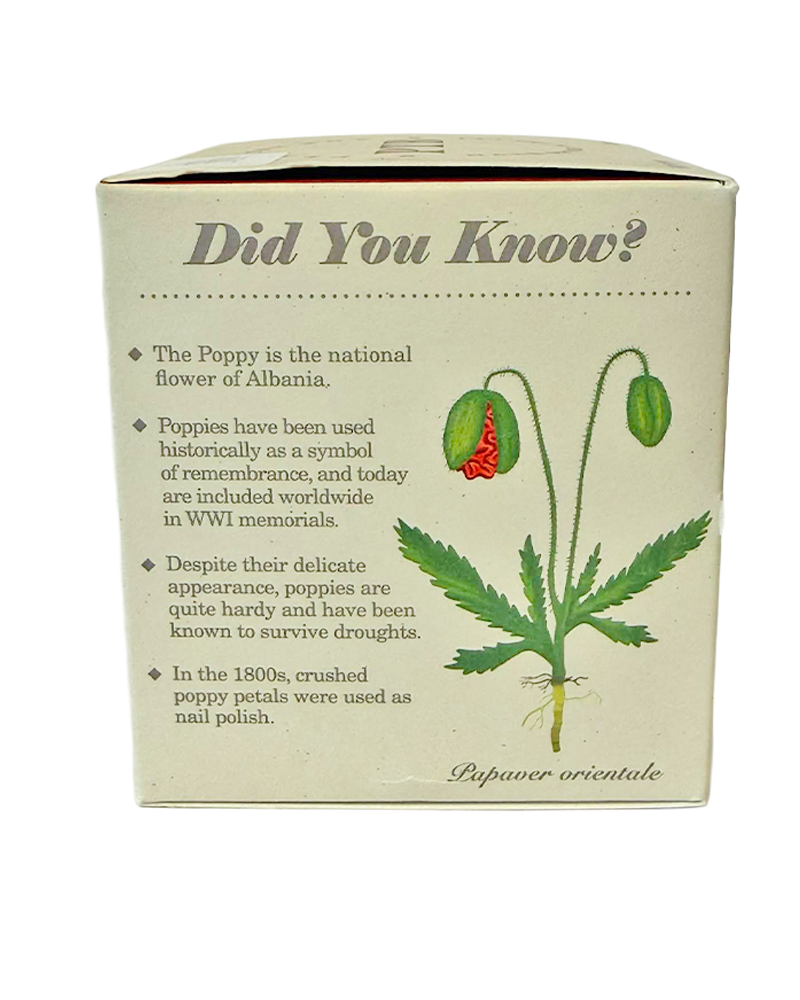 Candle Red Poppy Plant the Box