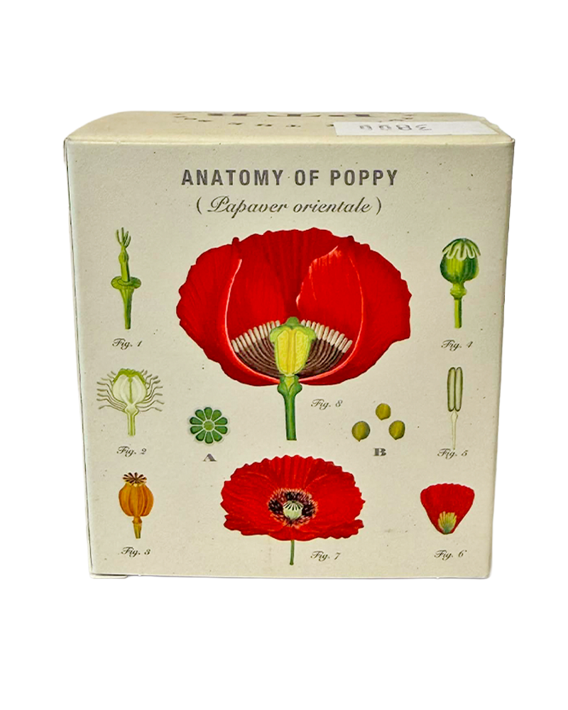 Candle Red Poppy Plant the Box