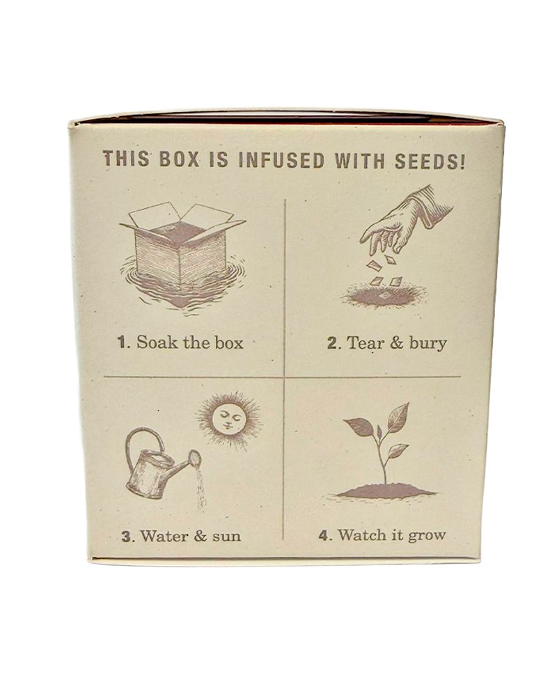 Candle Red Poppy Plant the Box