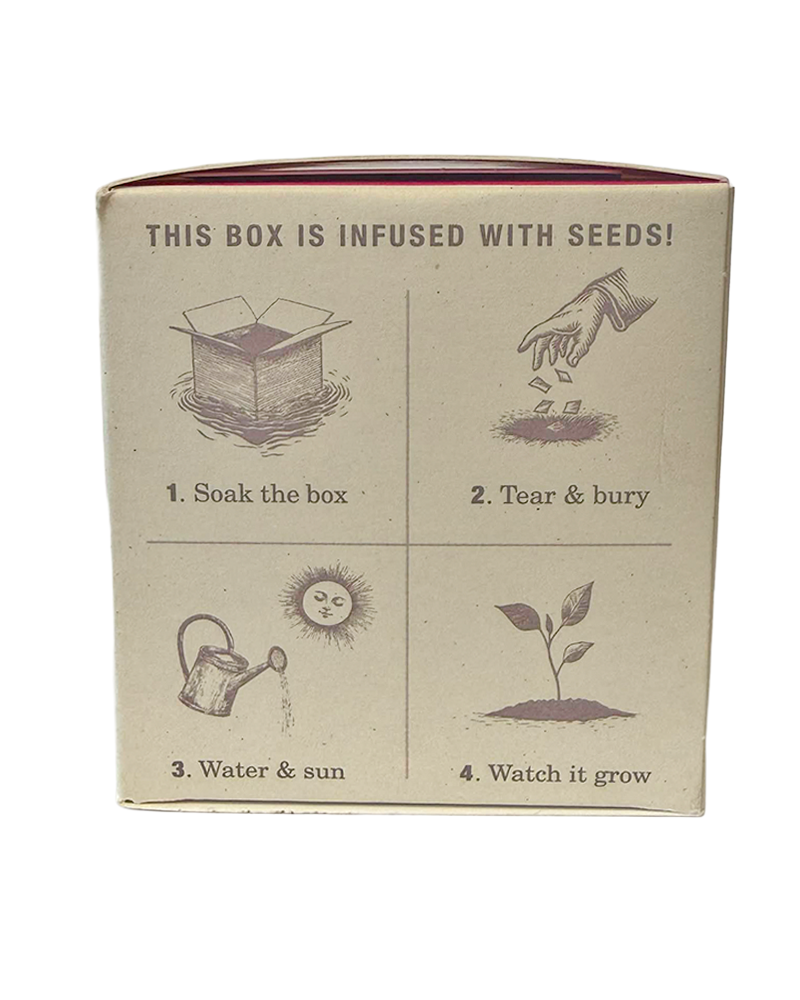 Plant the Box Candle - Choose Your Scent