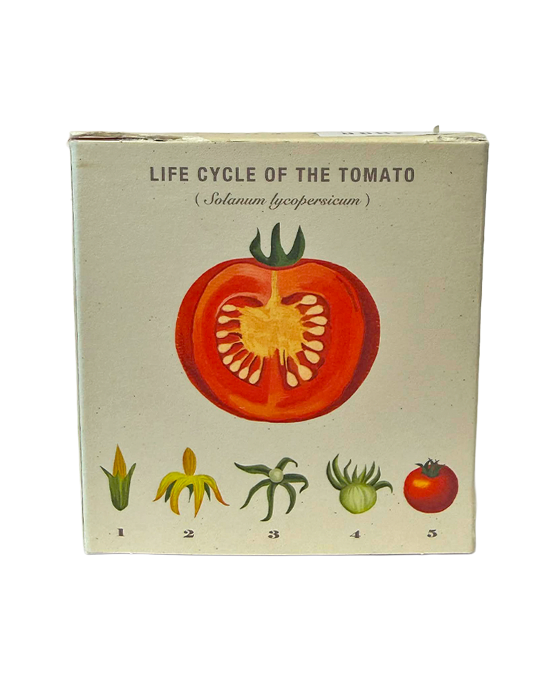 Candle Wild Tomato Vine Plant the Box