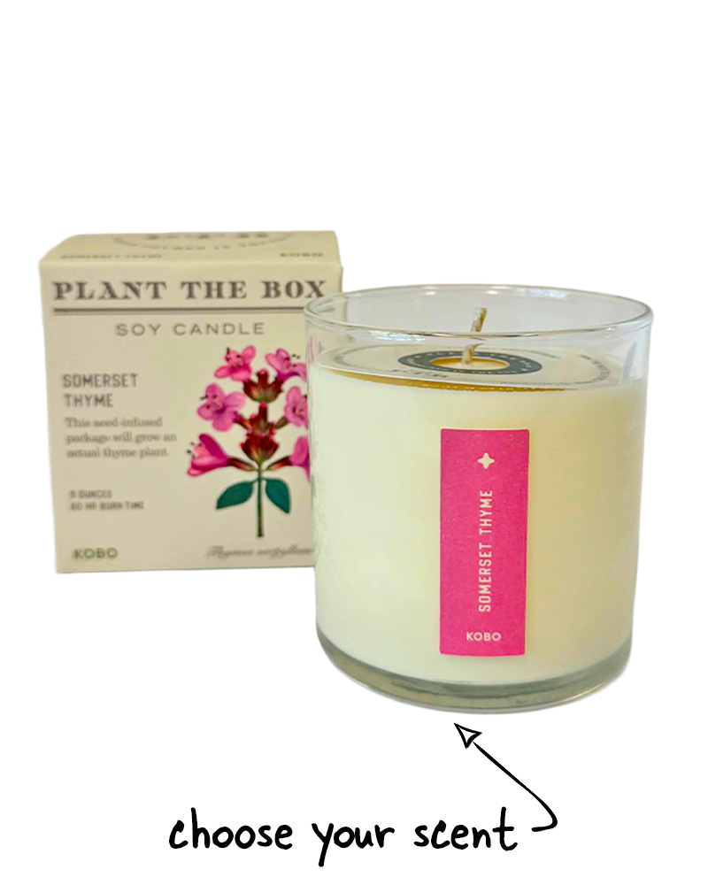 Plant the Box Candle - Choose Your Scent