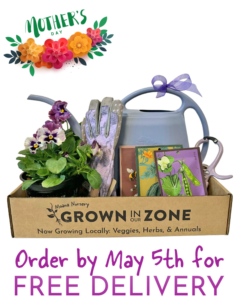 Gardening Gift Basket