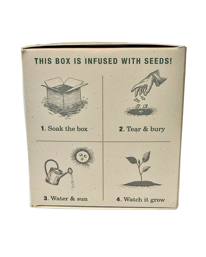 Candle Ripe Watermelon Plant the Box