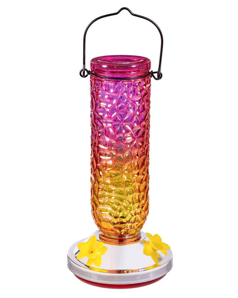 Glass Hummingbird Feeder Textured