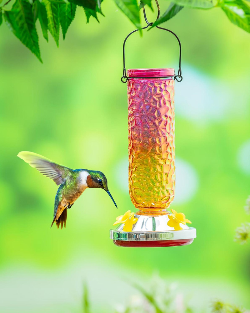 Glass Hummingbird Feeder Textured