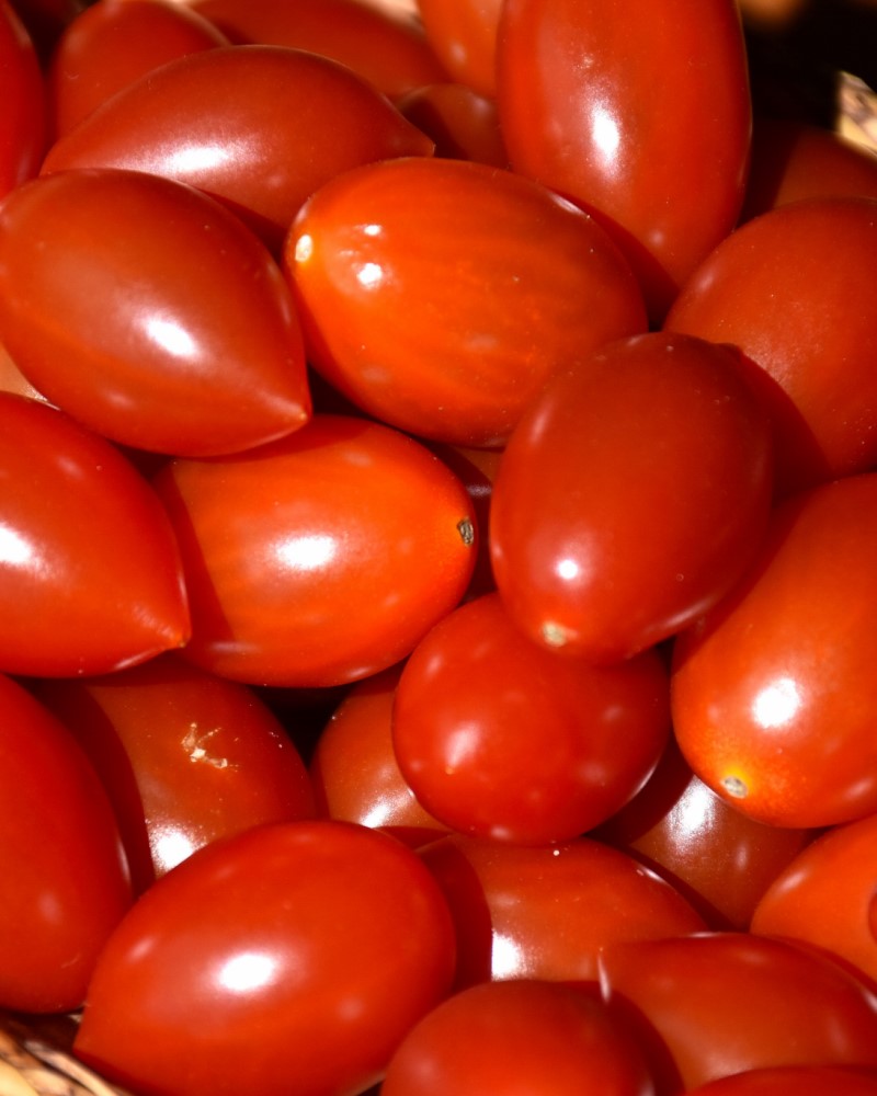 Tomato Juliet Grape 4"