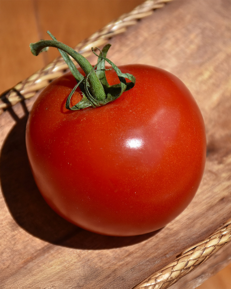 Tomato Mountain Magic 4"
