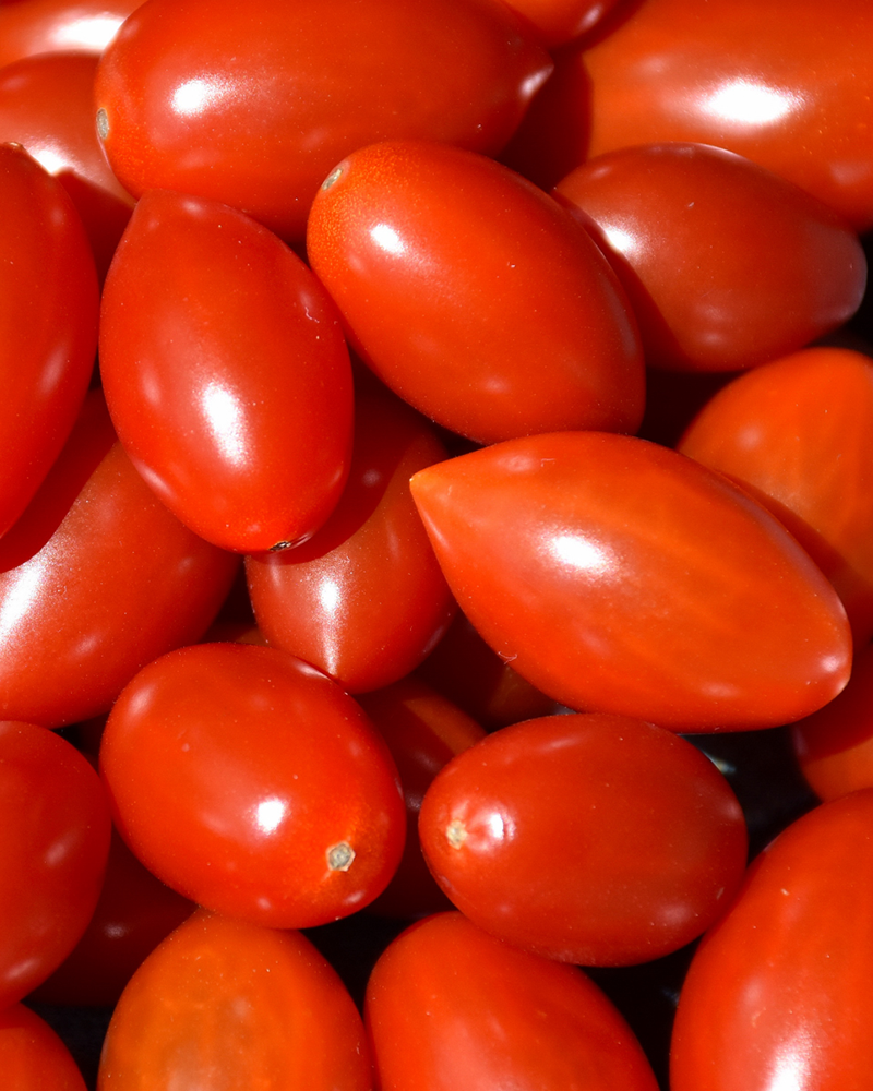 Tomato Red Grape 4"